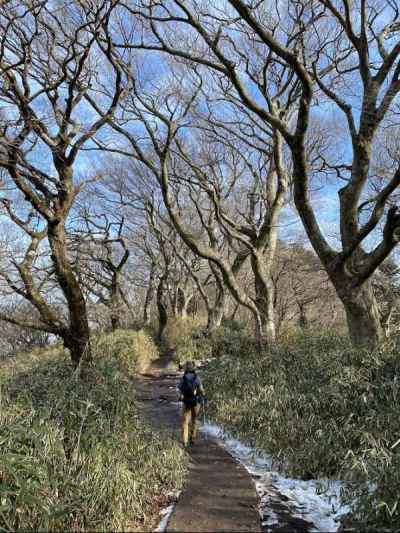 美しい樹林帯&nbsp;