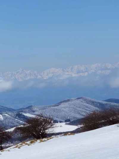 北アルプスを望む