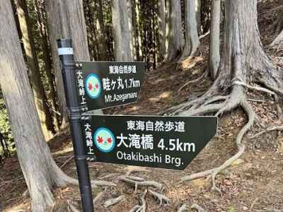 大滝橋に向けて下山します&nbsp;