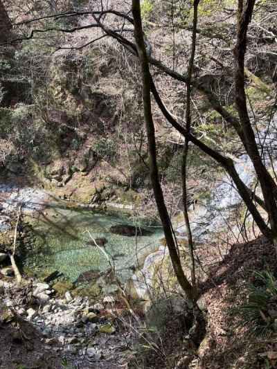 大滝沢の澄んだ流れ