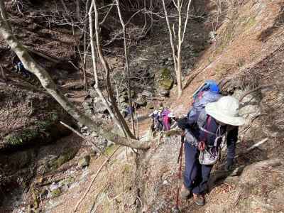 西沢への下山道